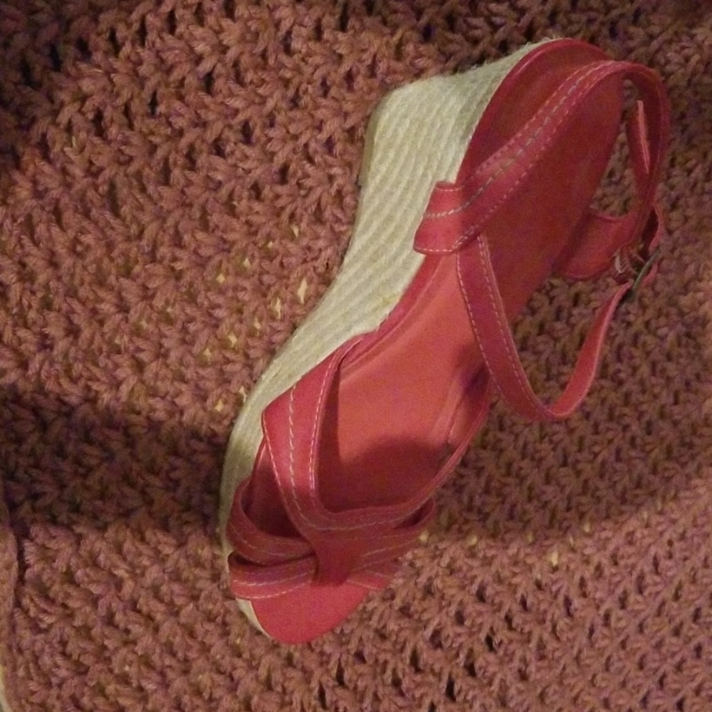 Red wedges